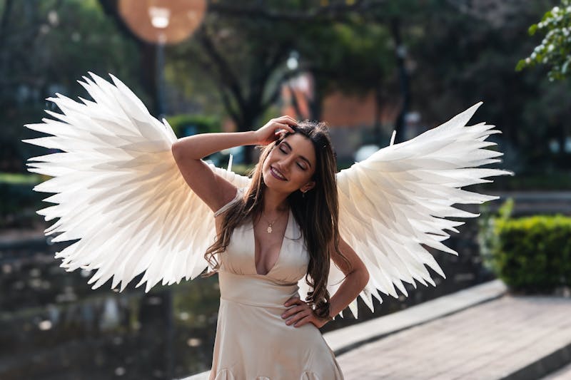 Wing Snob Combo Meal with wings and sides